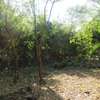 1 ac Commercial Land at Diani thumb 11