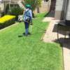 Expert Landscaping & Gardening Services in Nairobi thumb 0
