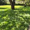 1 ac Commercial Land in Lavington thumb 4