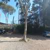 Prime Land in Upperhill For Sale thumb 1