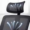 Orthopedic Executive office chair thumb 0