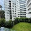 Furnished 3 Bed Apartment with En Suite in Spring Valley thumb 19