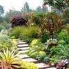 Best Landscaping & Gardening Services-Nakuru Experts thumb 13