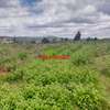 0.125 ac Residential Land at Migumoini thumb 14