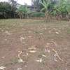 40*80ft plots for sale at Makuyu near Makuyu Teachers c thumb 7