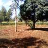 0.5-Acre Plot For Sale in Kugeria Estate thumb 4