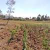 Eighths acre plots for sale in gikambura kikuyu kiambu. thumb 4