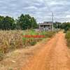 0.125 ac Residential Land in Kamangu thumb 21