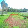 0.05 ha Residential Land in Gikambura thumb 9