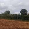 One Acre Land for Sale at Thogoto Kikuyu thumb 1