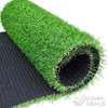 elegant carpet grass thumb 0