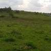 1 acre, beautiful land olooloitikosh thumb 3