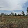 Prime 1/4 Acre Plots For Sale In Kitengela thumb 3