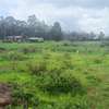 0.05 ha Residential Land at Kikuyu thumb 3