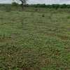 Matuu 50*100 plots thumb 2