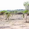 50 BY 100 PLOTS FOR SALE IN ATHI RIVER KINANIE @800K thumb 2