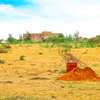 Mwalimu farm Affordable Residential plots for sale-50*100 thumb 0