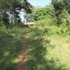 9 ac Land at Karen thumb 7
