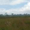 2 Acres Available For Sale in Makindu town, Masalani Area thumb 2