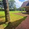 5 Bed House with En Suite at Panafric thumb 18