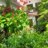 10 Bed House with En Suite at Milimani thumb 5