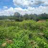 0.2 ha Commercial Land at Merisho Road thumb 5