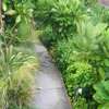 Landscaping & Gardening Services in Kenya thumb 2