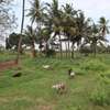 20 ac Land in Kikambala thumb 8