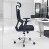 Office Chair: Ergonomic Mesh High Back Chair For Rest thumb 1