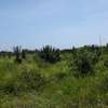 1,012 m² Residential Land in Vipingo thumb 3