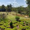 3 Bed House with Garage in Nanyuki thumb 6