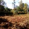 0.5-Acre Plot For Sale in Kugeria Estate thumb 3
