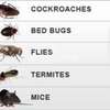 BED BUG Fumigation in Pangani/Ziwani/Kariokor/Landimawe thumb 4