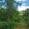 30 Acres of Virgin Land In Makindu Are For Sale thumb 3