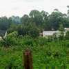 Prime Residential plot for sale in kikuyu, ondiri thumb 0