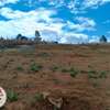 500 ac Residential Land at Lussingetti thumb 10