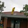 Roof & Ceiling and Leakages Repair Services in Nairobi thumb 3
