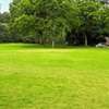 4,000 m² Commercial Land in Kilimani thumb 0