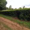 0.113 ac residential land for sale in Ngong thumb 2