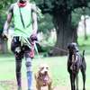 Dog training in Nairobi thumb 1