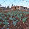 50 by 100 plots for sale in Lussigeti kikuyu area thumb 2
