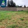 0.125 ac Commercial Land at Muchatha thumb 7