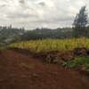 0.125 ac Residential Land in Ngong thumb 2