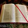 Pink leather-bound Holy Bible NIV thumb 11