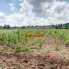 0.05 ha Residential Land at Kamangu thumb 14