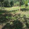 Lovely Quarter ( 1 / 4 ) Acre Land in Ngong thumb 10