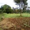 Land at Limuru thumb 7