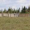 Prime affordable plots for sale in  kitengela thumb 5
