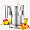 Commercial Fruit Juicer Electric Juice Extractor thumb 8
