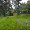 1.1 ac Land in Muthaiga thumb 7